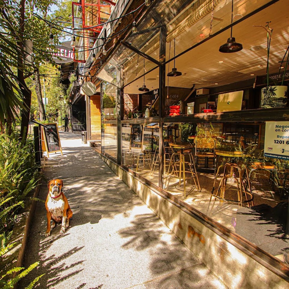 Cafeteria Lisa, cafetería en Guadalajara, Jalisco