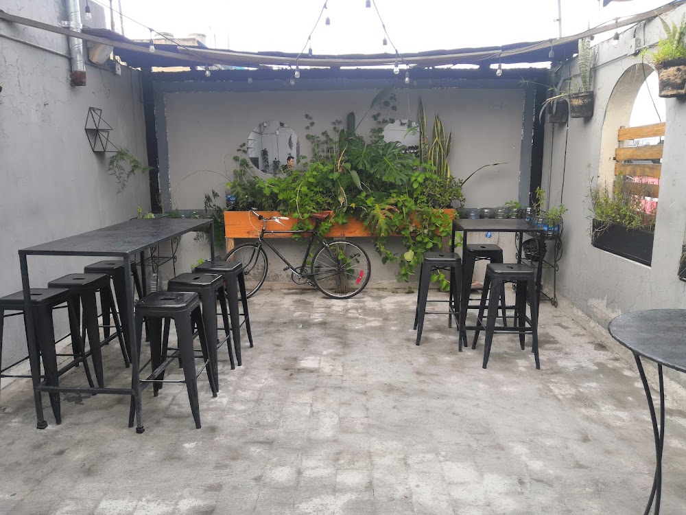 Pedro Y El Leon Fonda De Altura, cafetería en Guadalajara, Jalisco