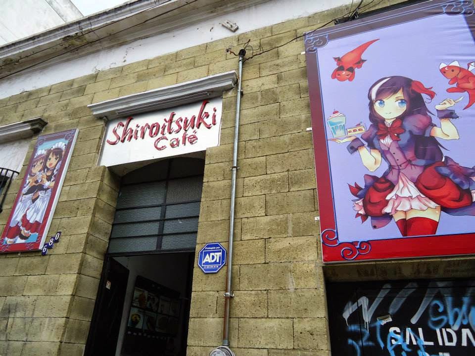 Shiroitsuki Cafe, cafetería en Guadalajara, Jalisco