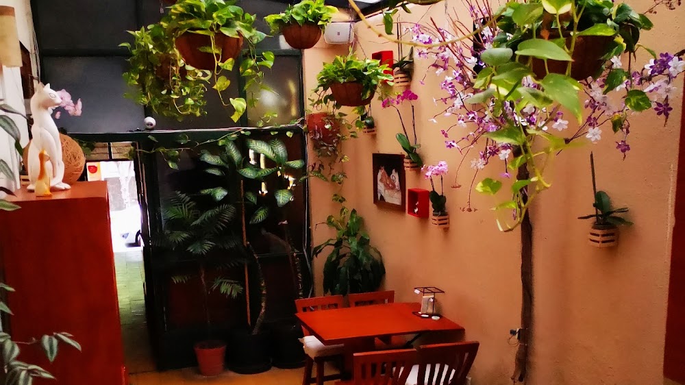 El Gato Cafe, cafetería en Guadalajara, Jalisco