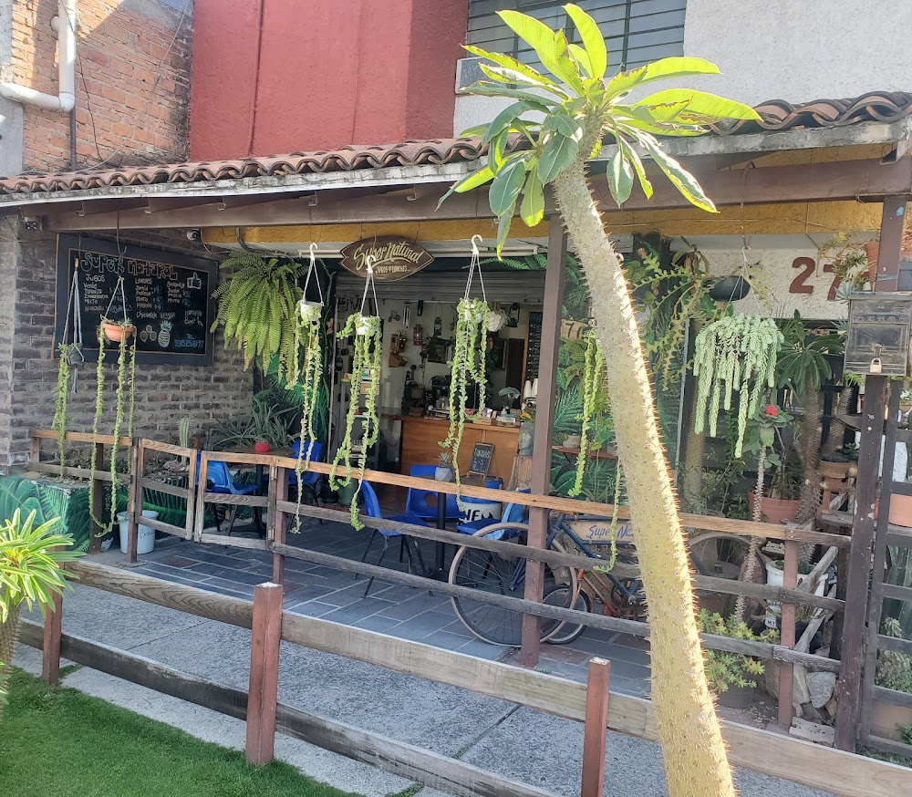 Super Natural, cafetería en Guadalajara, Jalisco