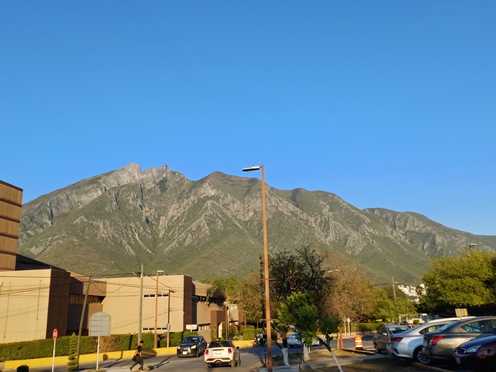 La Cafeteria De Artes Visuales, cafetería en Monterrey, Nuevo León