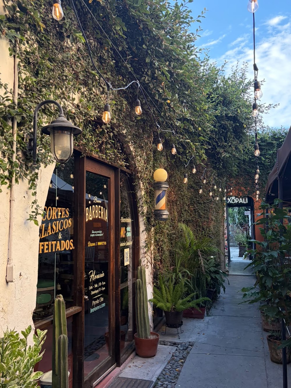 Seabird, cafetería en Monterrey, Nuevo León